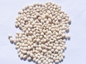 White Pea Beans