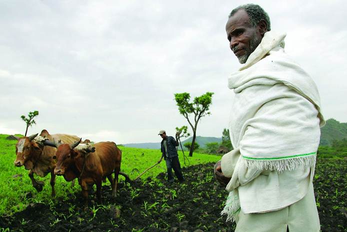 Tullu Filicha, beans farmer from Shashamene, Ethiopia