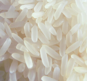 Rice