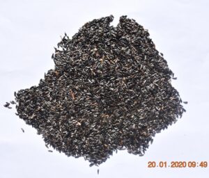 Niger Seeds