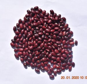 Red Kidney Beans